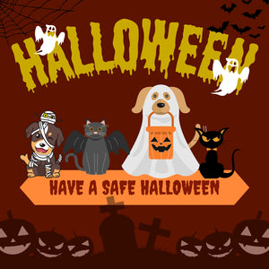 Halloween Safety Tips for Dogs: Keep Your Pup Safe and Happy This Spooky Season