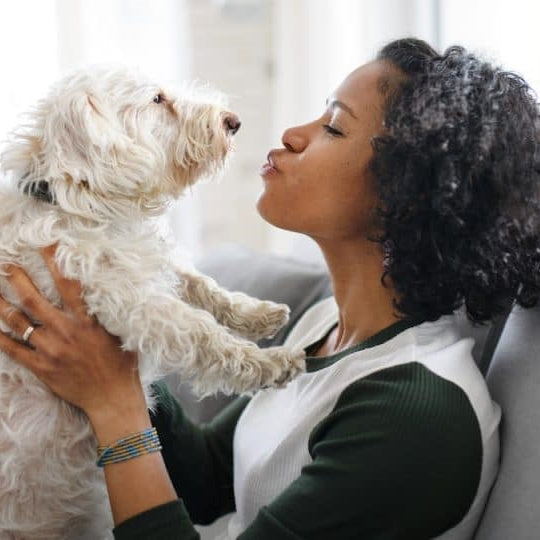 Tips for New Pet Parents and First-Time Adopters: Setting Your Dog Up for Success