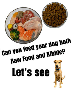 Is it safe to mix raw dog food and kibble?