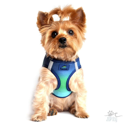 American River Choke Free Dog Harness - Ombre - Northern Lights