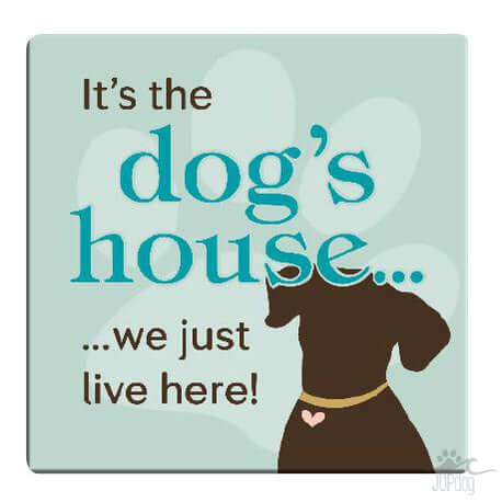 It's the Dog House ... we just live here