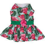 Dog Dress - Juicy Watermelon with Matching Leash